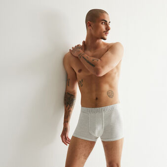 Boxer gris oreliz grey.