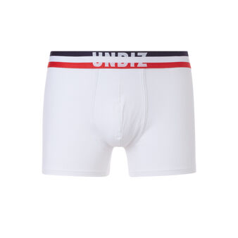 Boxer blanc frenchiz white.