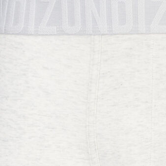 Boxer gris oreliz grey.