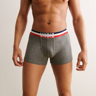 Boxer gris frenchiz grey.