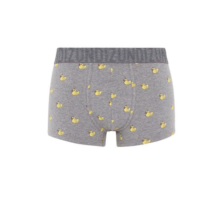 Boxer gris peticanardiz Boxer gris peticanardiz;