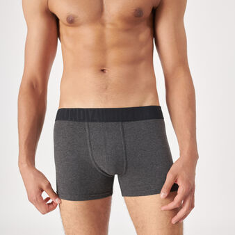 Boxer gris fonc&eacute; oreliz gris.