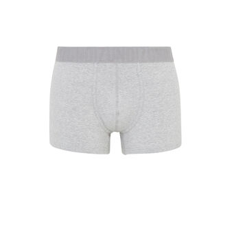 Boxer gris oreliz grey.