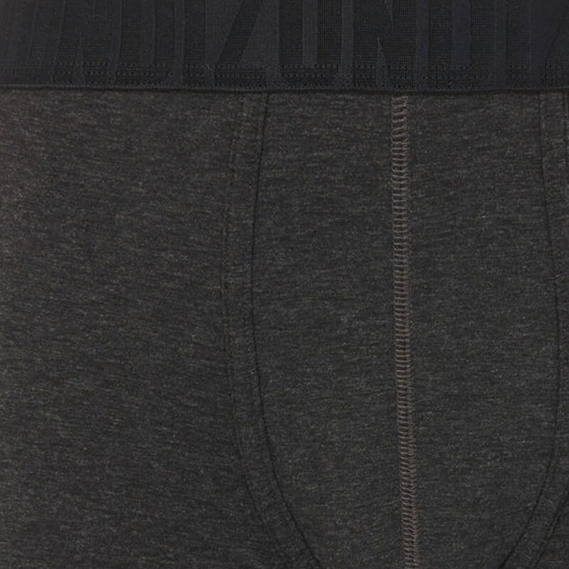 Boxer gris oreliz Boxer gris oreliz;