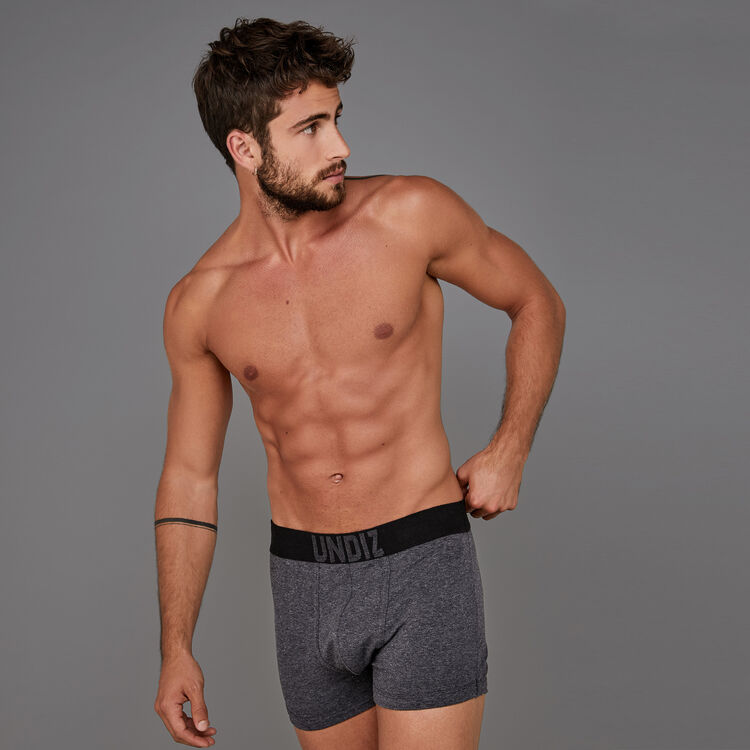 Boxer gris thebossiz grey.
