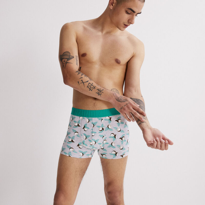 Boxer gris clair noidecocoiz Boxer gris clair noidecocoiz;