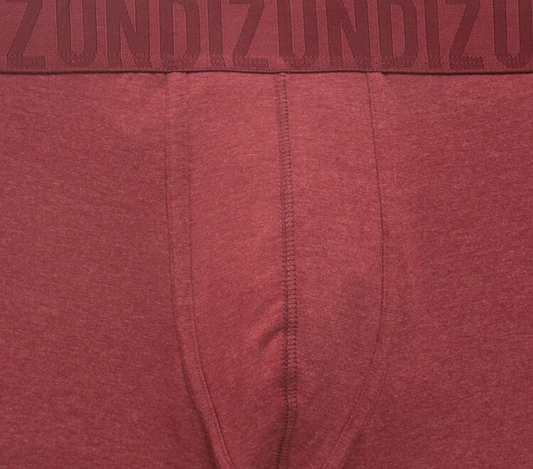 Boxer bordeaux oreliz Boxer bordeaux oreliz;