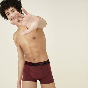 Boxer bordeaux oreliz red.