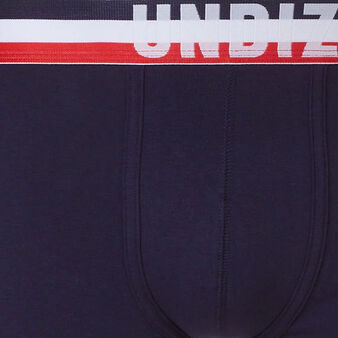 Boxer bleu frenchiz blue.