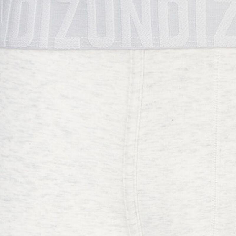 Boxer gris oreliz Boxer gris oreliz;