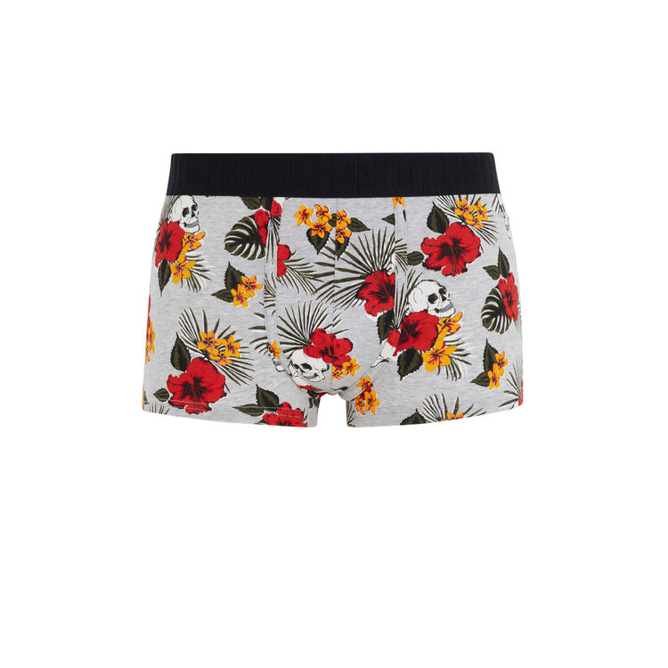 Boxer gris tropiskulliz Boxer gris tropiskulliz;
