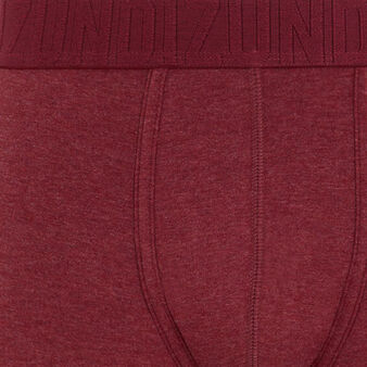 Boxer bordeaux oreliz rouge.