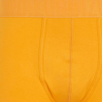 Boxer safran oreliz orange.