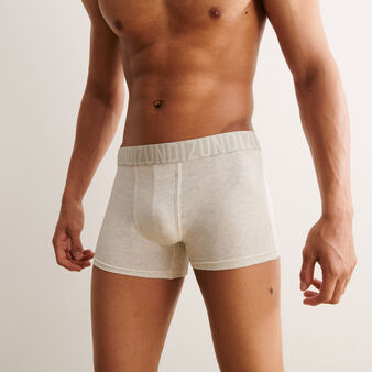 Boxer gris clair oreliz gris.