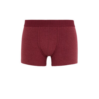 Boxer bordeaux oreliz rouge.
