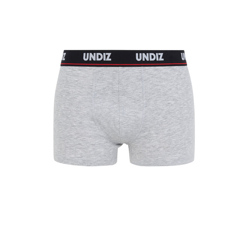 Boxer gris probchildiz Boxer gris probchildiz;
