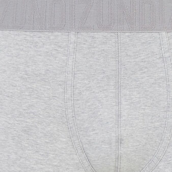 Boxer gris oreliz grey.