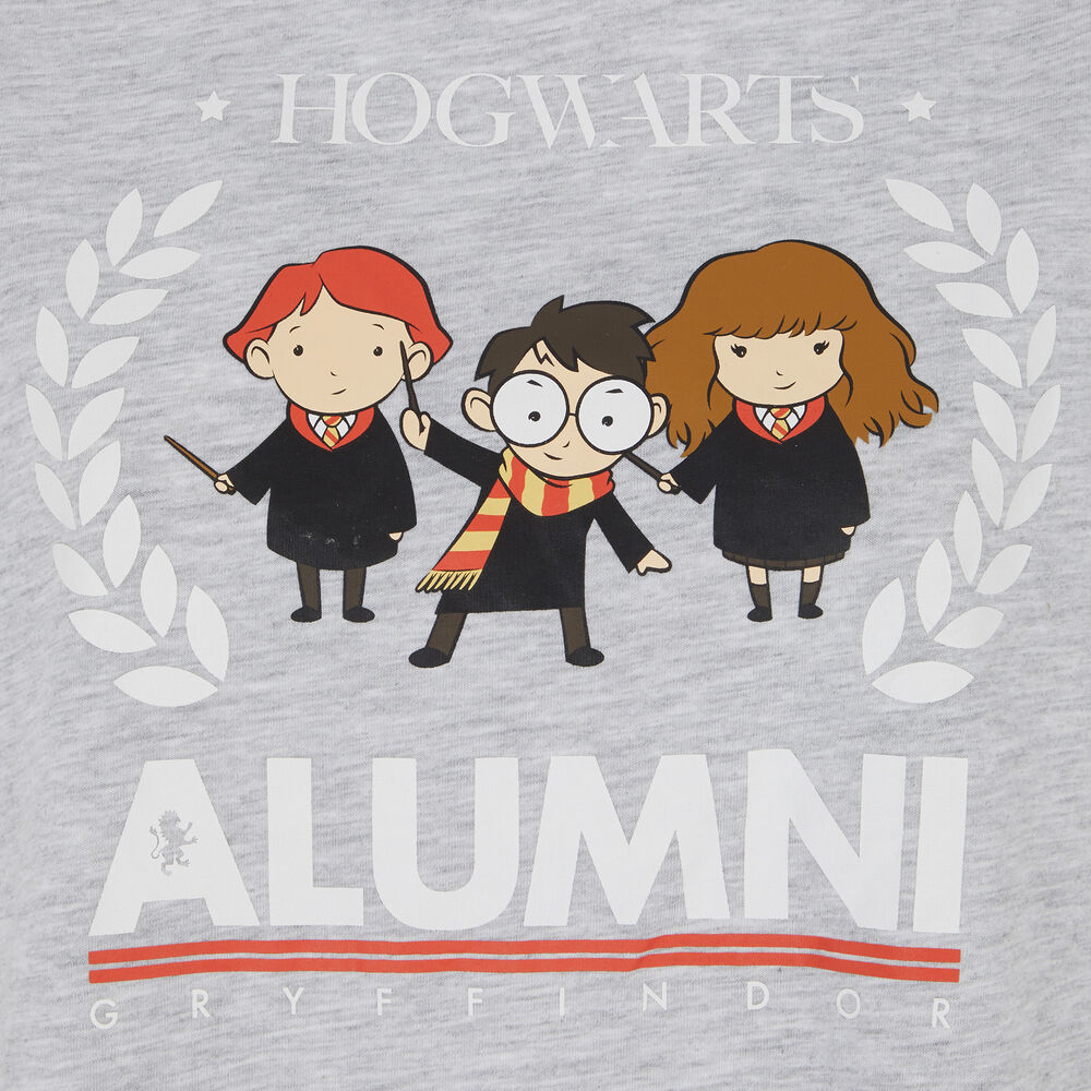 Pyjama set harry potter - gris gris.