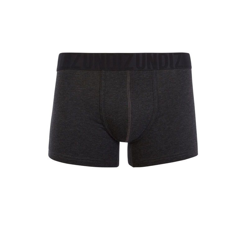 Boxer gris oreliz Boxer gris oreliz;