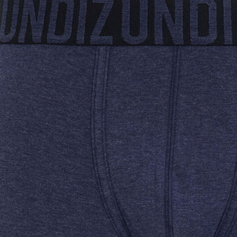 Boxer bleu oreliz bleu.