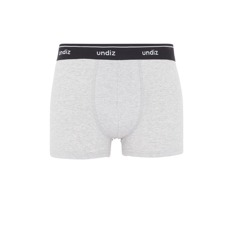 Boxer gris engdatiz Boxer gris engdatiz;