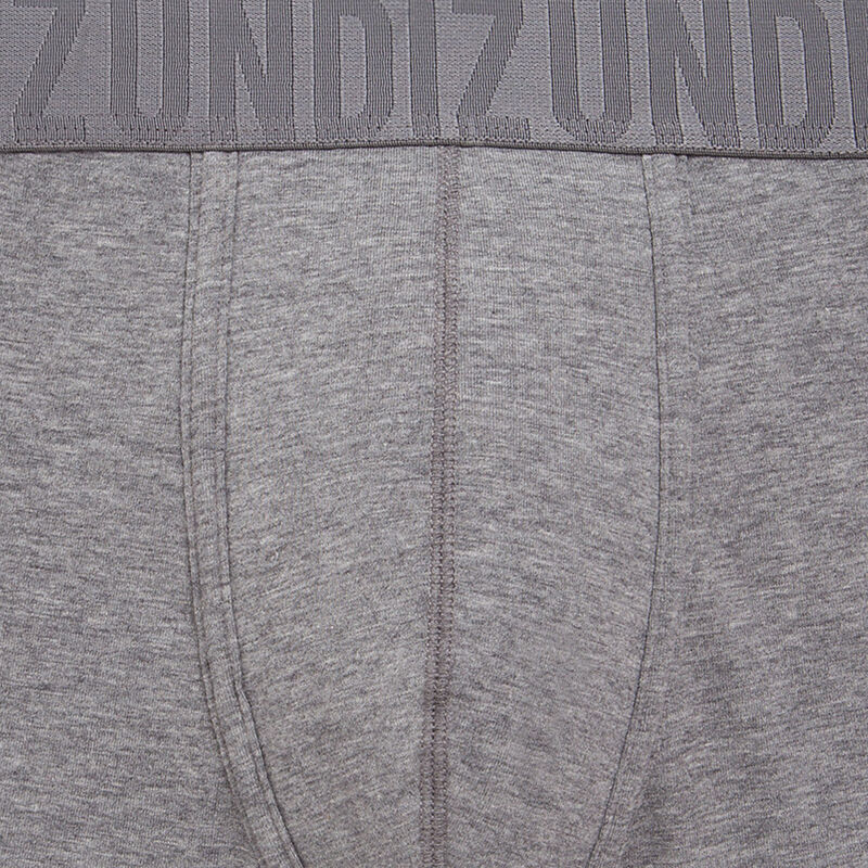 Boxer gris oreliz Boxer gris oreliz;