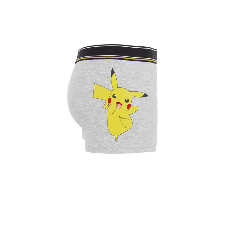 Boxer gris japikachiz Boxer gris japikachiz;