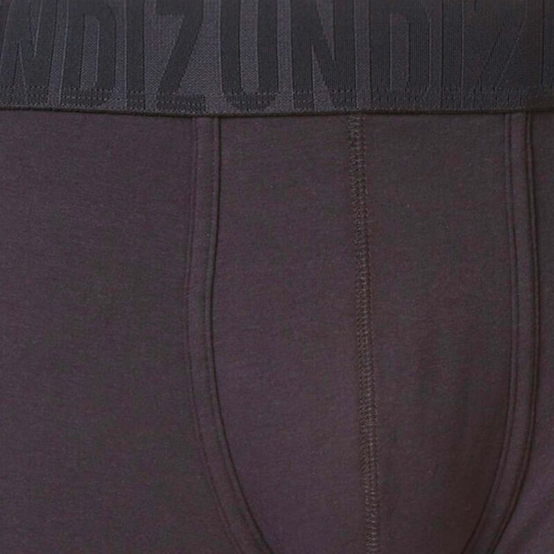 Boxer noir oreliz Boxer noir oreliz;
