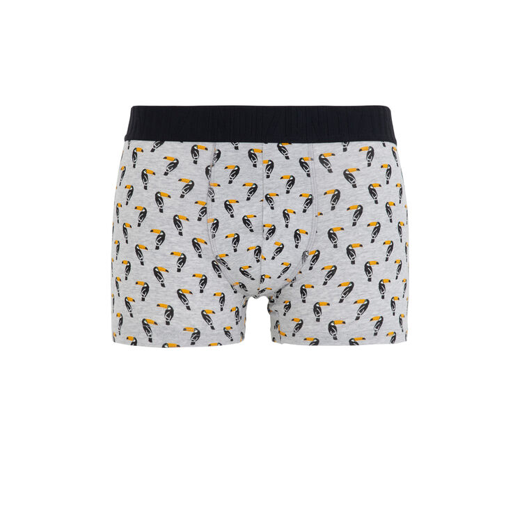 Boxer gris toucaniz Boxer gris toucaniz;