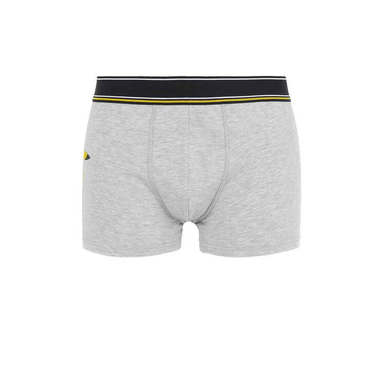 Boxer gris japikachiz Boxer gris japikachiz;