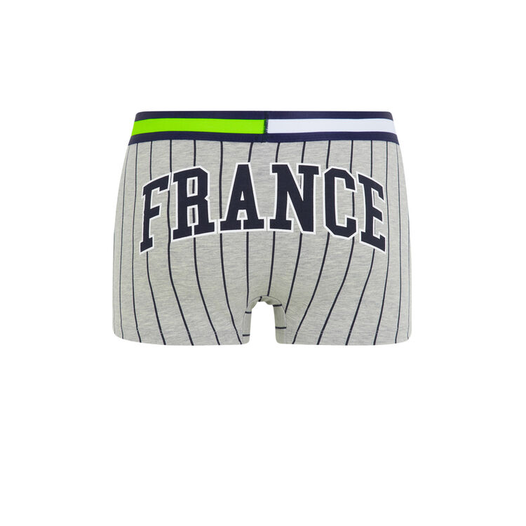Boxer gris franciz Boxer gris franciz;