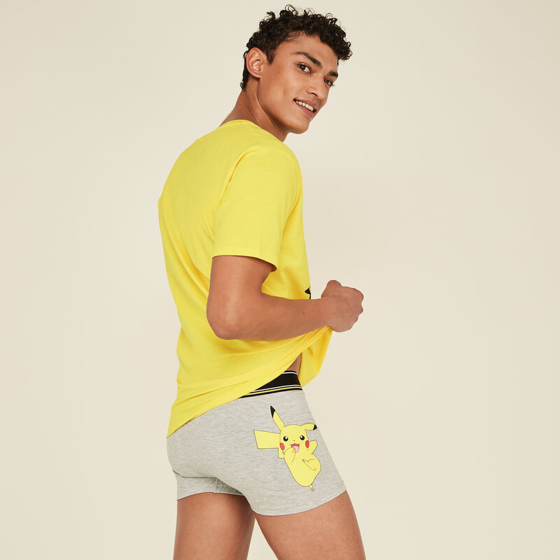 Boxer gris japikachiz gris.