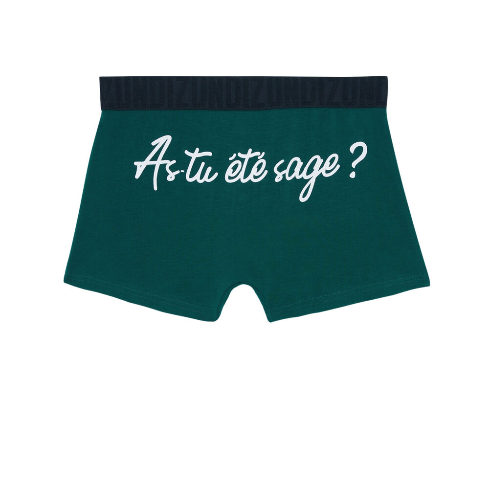 Boxer à message as-tu été sage - vert vert.