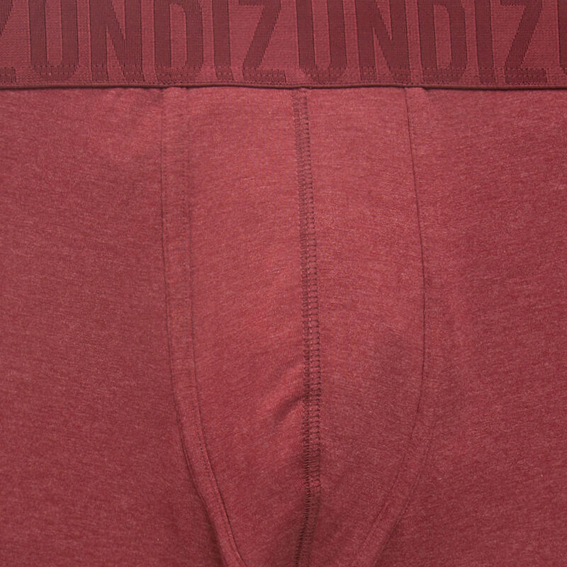 Boxer bordeaux oreliz Boxer bordeaux oreliz;