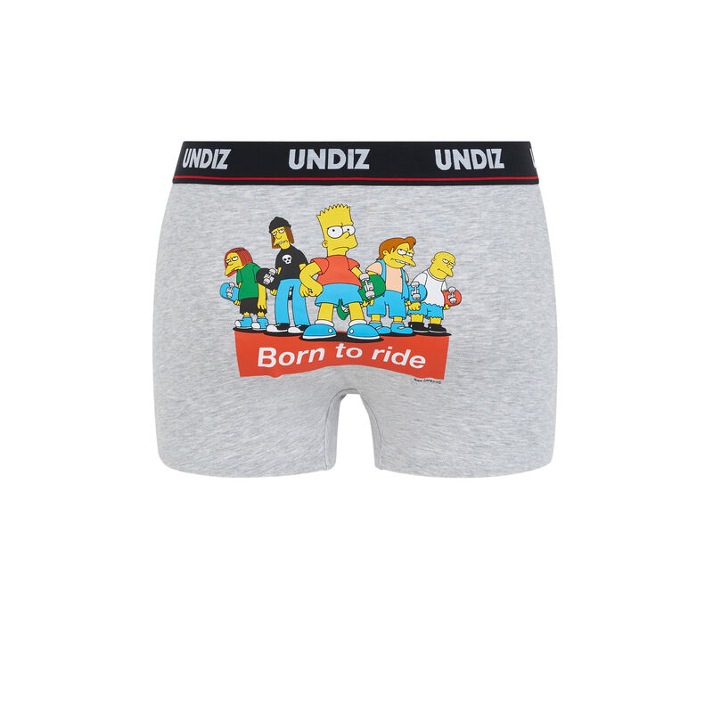 Boxer gris probchildiz Boxer gris probchildiz;