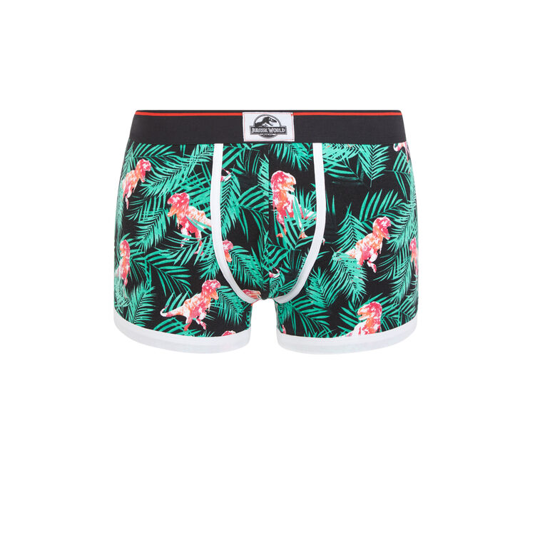 Boxer noir dinotropiz Boxer noir dinotropiz;
