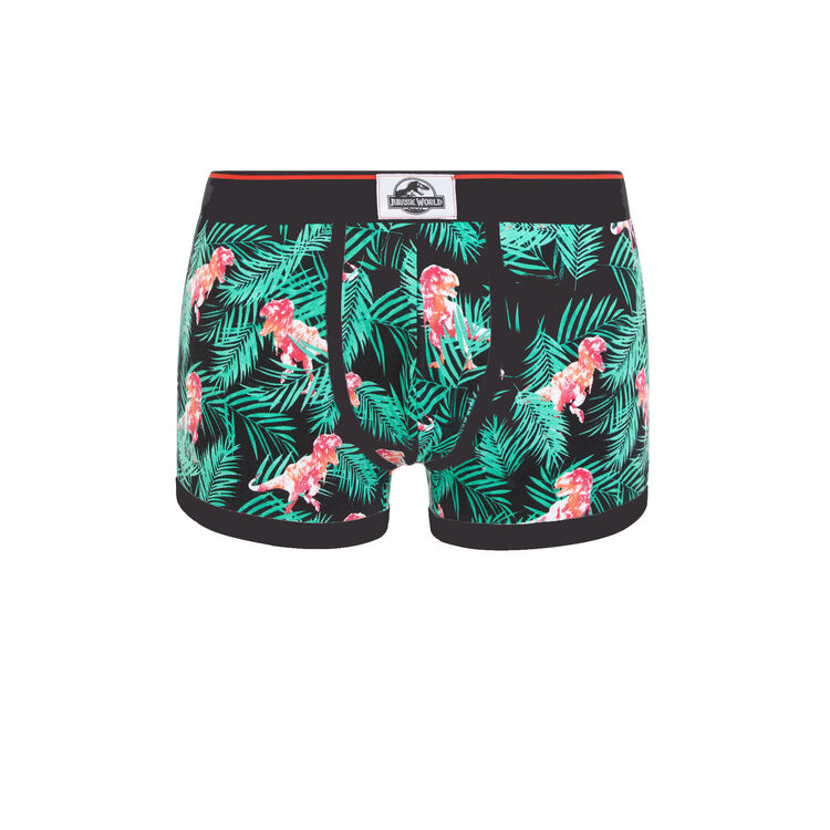 Boxer noir dinotropiz Boxer noir dinotropiz;