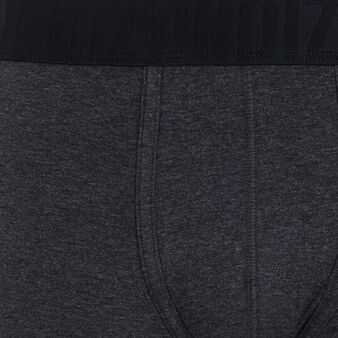 Boxer gris fonc&eacute; oreliz gris.