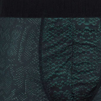 Boxer noir pythoniz noir.