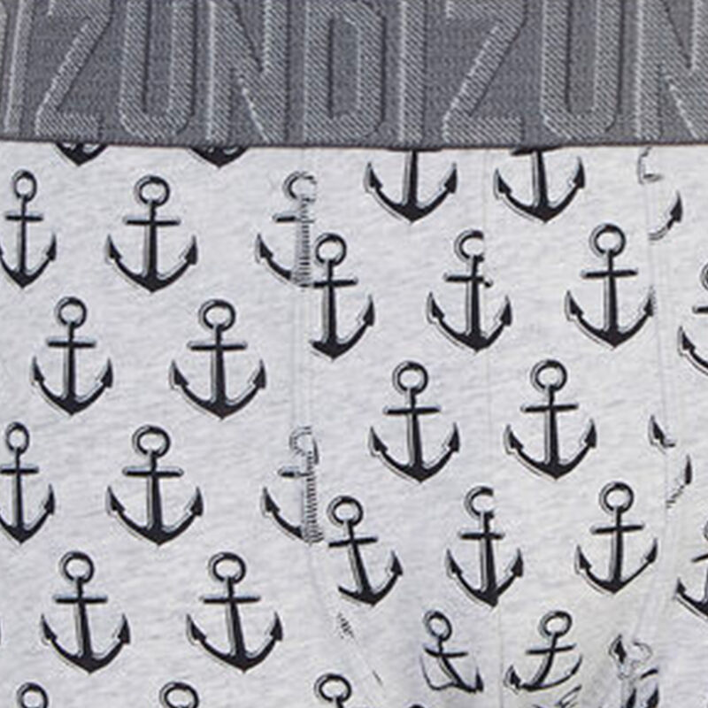 Boxer gris clair belrayiz Boxer gris clair belrayiz;