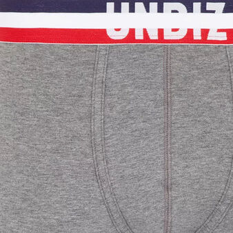 Boxer gris frenchiz grey.