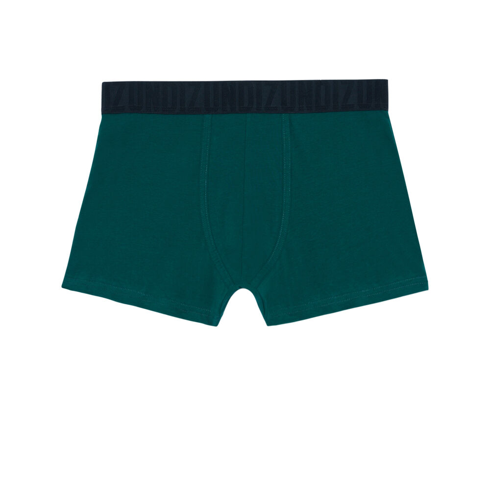 Boxer à message as-tu été sage - vert vert.
