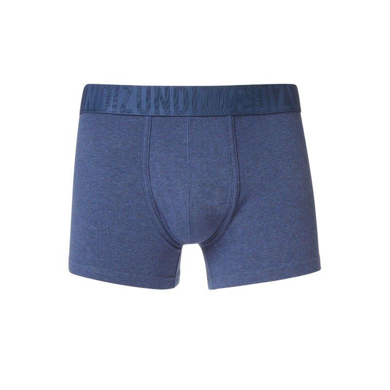 Boxer bleu oreliz Boxer bleu oreliz;
