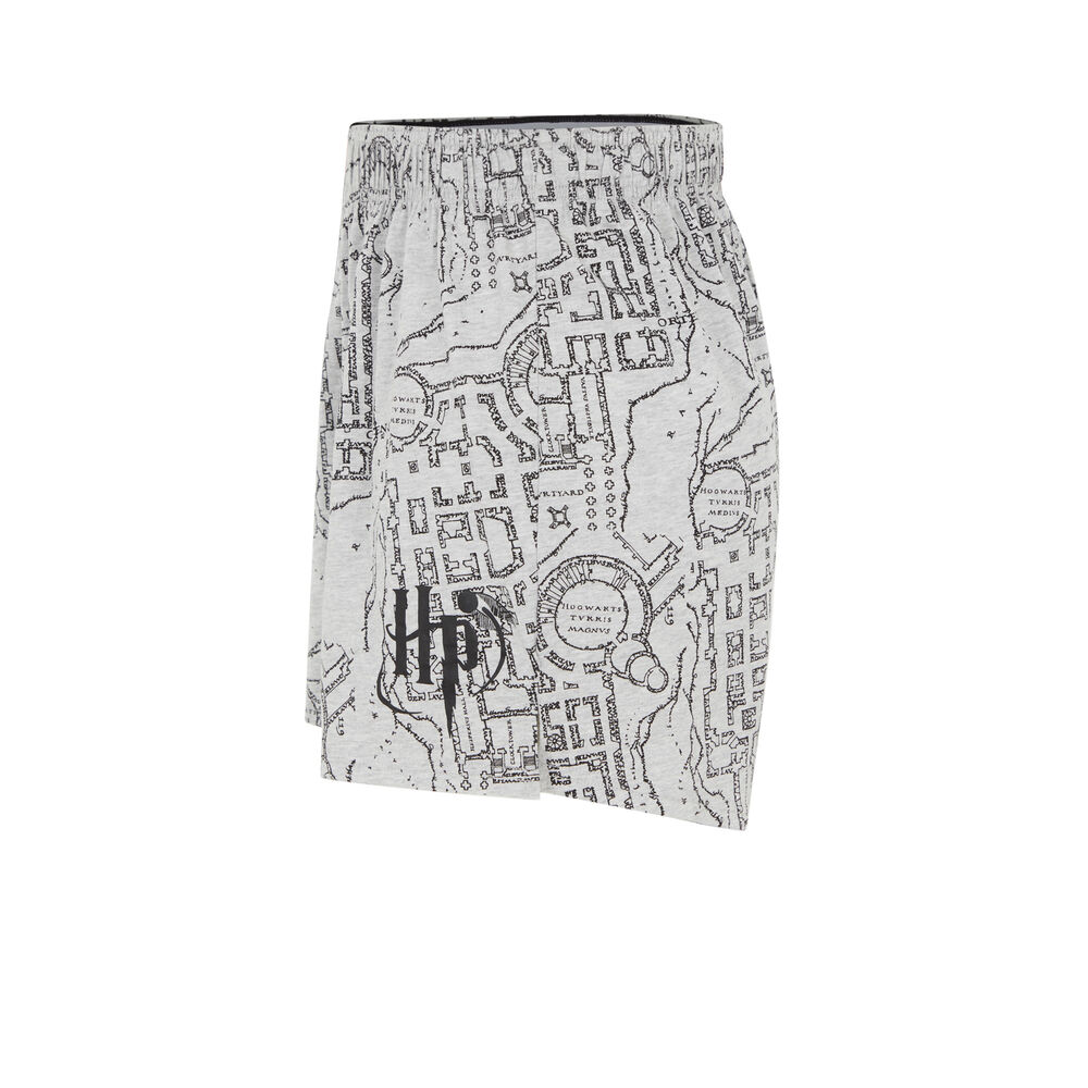 Boxer print harry potter - gris gris.