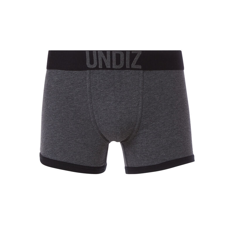 BOXER GRIS THEBOSSIZ BOXER GRIS THEBOSSIZ;