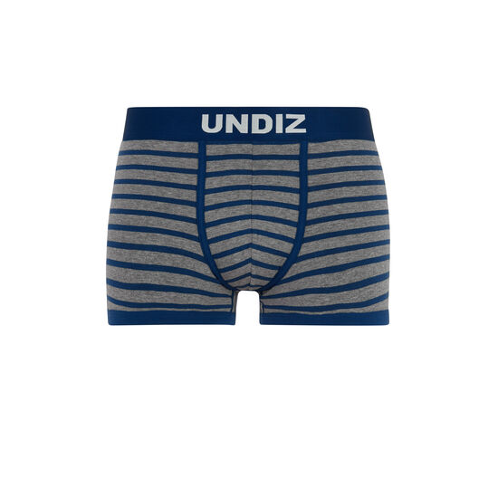 Boxer gris prisciz Boxer gris prisciz;