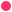Undiz